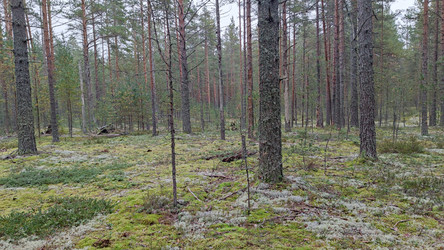 Similar image 21656101