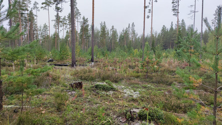 Similar image 21656103