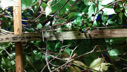 Similar image 21656104