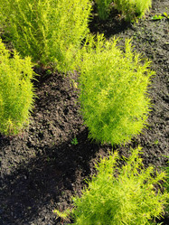 Similar image 21656105