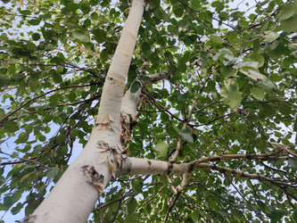 Similar image 21656106