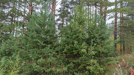 Similar image 21656107