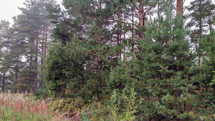 Similar image 21656108