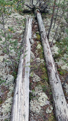 Similar image 21656109