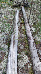 Similar image 21656110