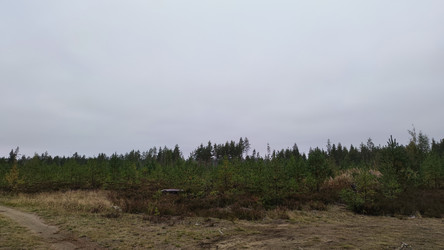 Similar image 21656111