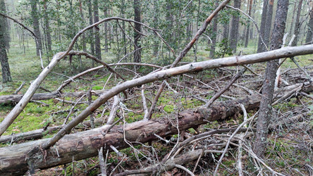 Similar image 21656112