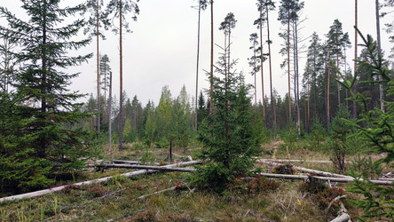 Similar image 21656115