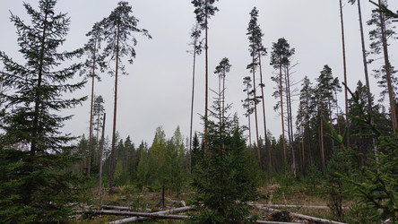 Similar image 21656116