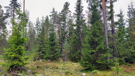 Similar image 21656117