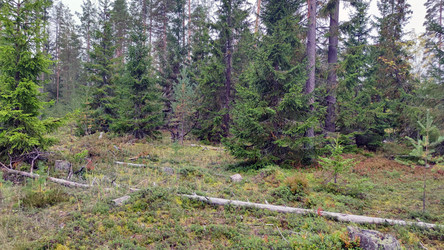 Similar image 21656118