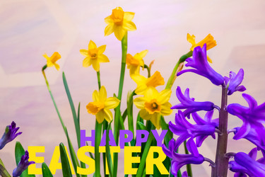 Similar image 21654059