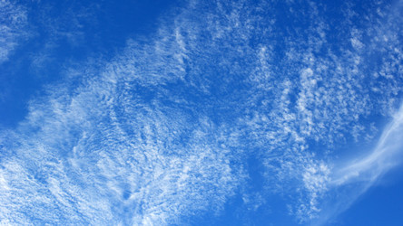 Similar image 21655905