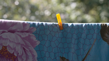 Similar image 21655907