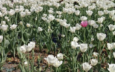 Similar image 21655911