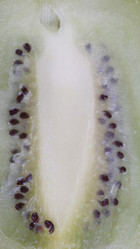 Similar image 21655915