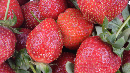 Similar image 21656126