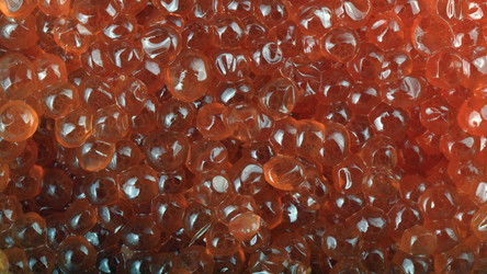 Similar image 21656130