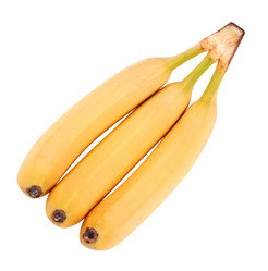 Similar image 21656134