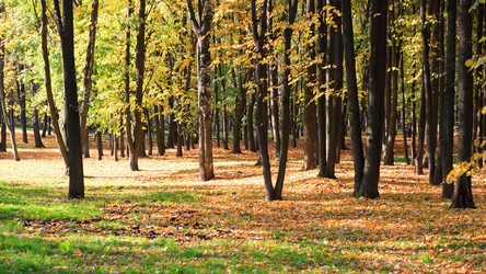 Similar image 21656141