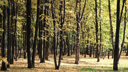 Similar image 21656144