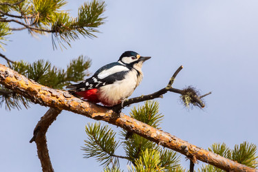 Similar image 21655828