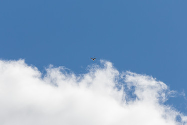 Similar image 21655836