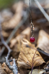 Similar image 21655928