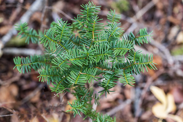 Similar image 21655840