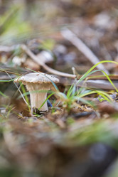 Similar image 21655841