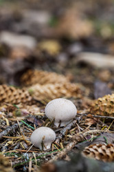 Similar image 21655843