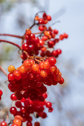 Similar image 21656161