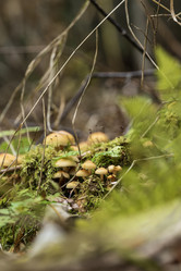 Similar image 21655844