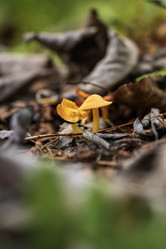 Similar image 21655931