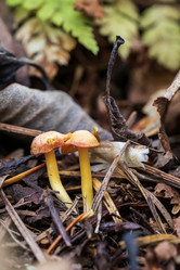 Similar image 21655932