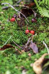 Similar image 21656162