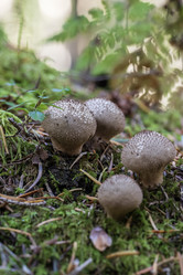 Similar image 21655847