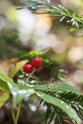 Similar image 21656163