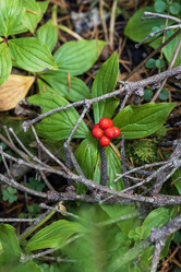 Similar image 21656164