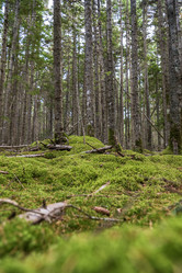 Similar image 21655851