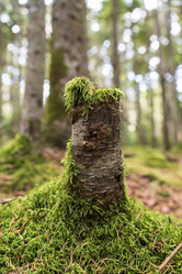 Similar image 21655852