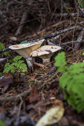 Similar image 21655756