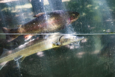 Similar image 21655654