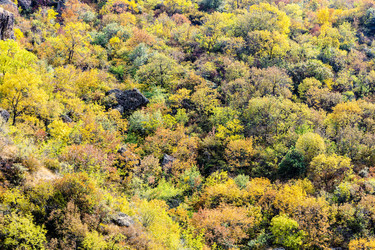 Similar image 21655656