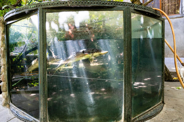 Similar image 21655658