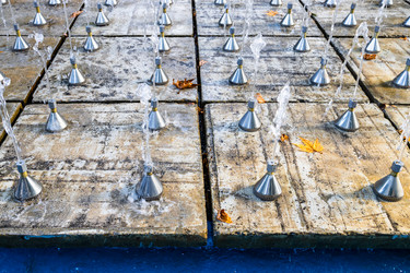 Similar image 21655659