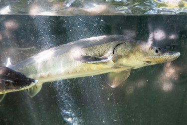 Similar image 21655678