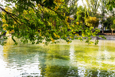 Similar image 21655685