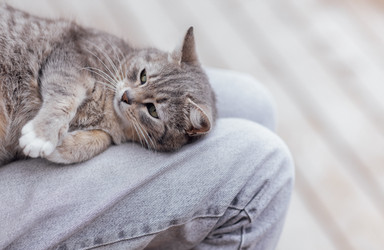 Similar image 21656785