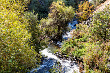 Similar image 21655633